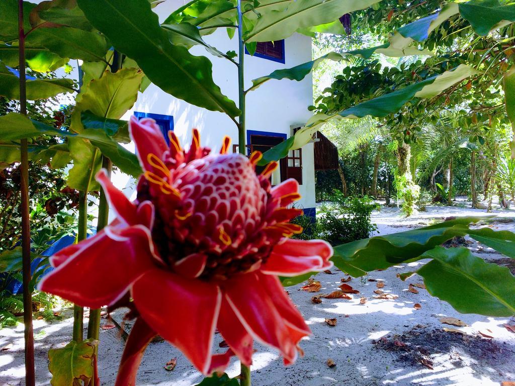 Villa Da Barca Pratigi エクステリア 写真