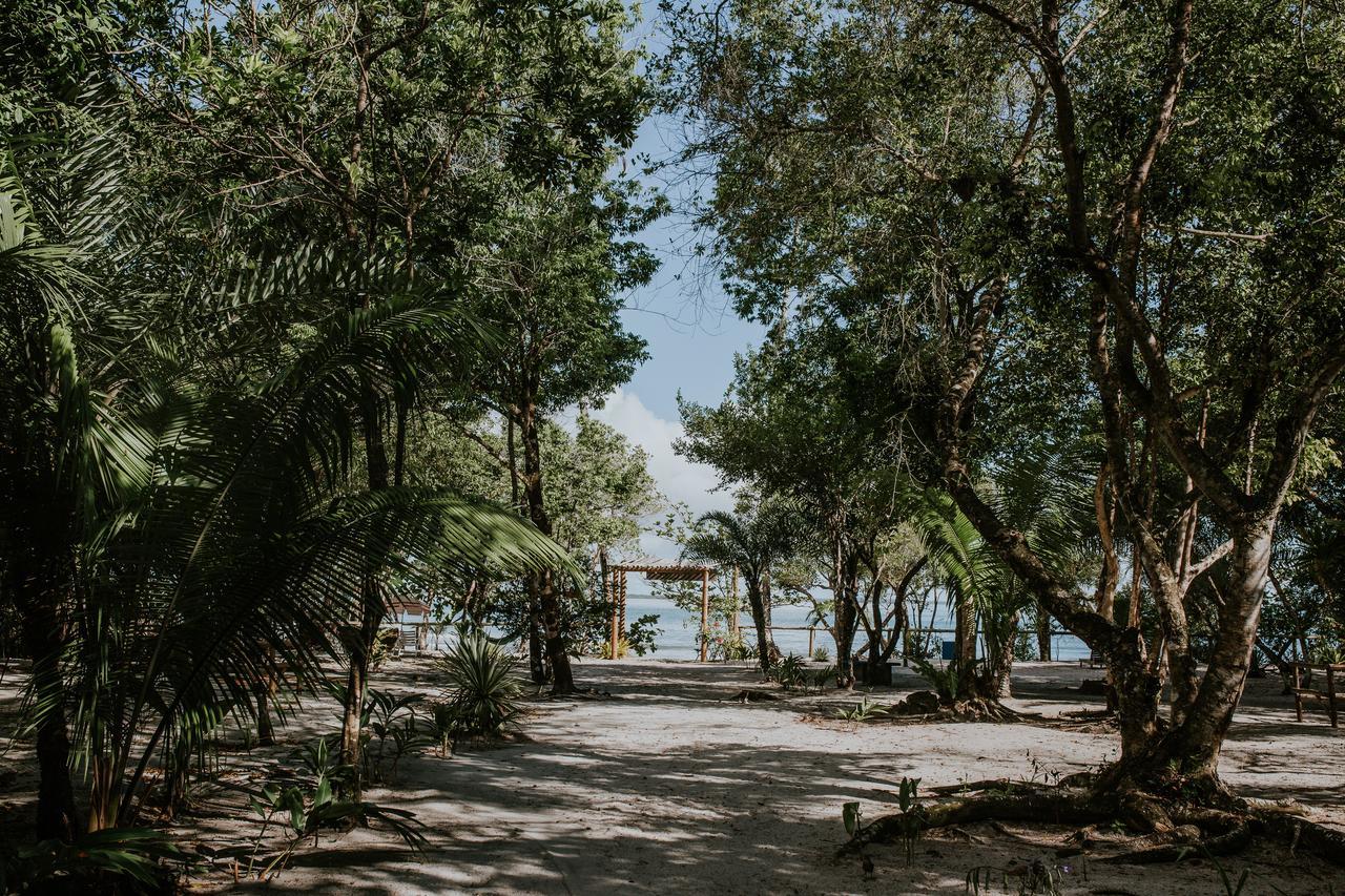 Villa Da Barca Pratigi エクステリア 写真